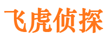 新邱市侦探调查公司